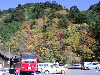s_IMGP0450s.png